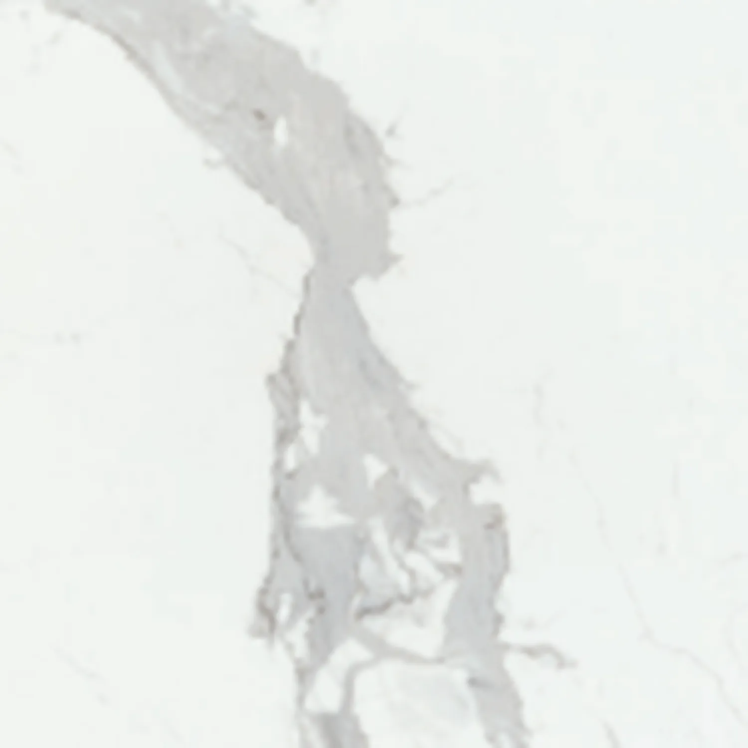 Glossy - 3828 CARRARA